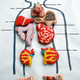 Illustration for article titled Hand-Painted Macaron Cookies Resemble Colorful Cartoon Organ Meat